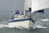 halley 2932c whyw25 fri 800_7539